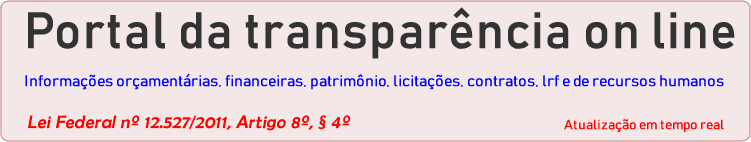 Portal Transparncia Tempo Real
